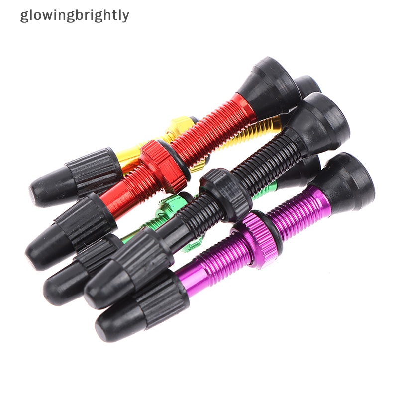 [glowingbrightly] Katup Vakum Sepeda Gunung French valve Aluminium tubeless French valve TFX