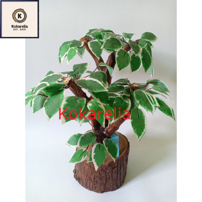 Set Bonsai serut/pohon hias/bunga hias/bonsai daun/pohon artificial/bonsai beringin/bonsai hias