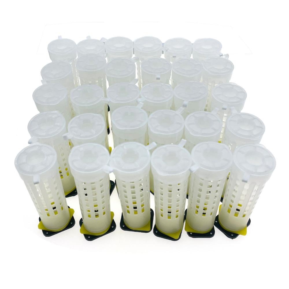 [Elegan] Kandang Ratu Ternak Lebah 20pcs Praktis Putih Rumah Tangga Tahan Lama Bee Biting Cage