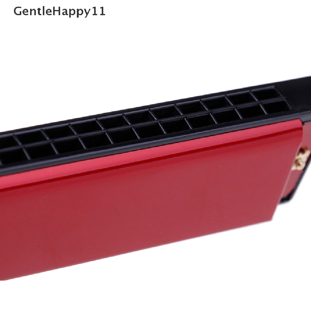 Gentlehappy Professional Kunci Harmonika 24lubang C Mulut organ metal Untuk Pemula id