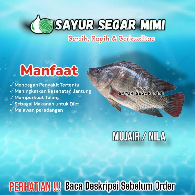 

Ikan Mujair/Nila 1Kg - Sᴀʏᴜʀ Sᴇɢᴀʀ ♏ɪᴍɪ