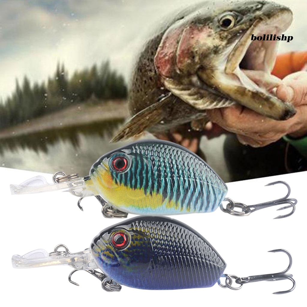 Bo-6cm/6.5g Umpan Pancing 3D Simulasi Fisheye Tajam Kait Warna Kaya Compact Bright Color Fishing Instalasi Mudah Treble Hook Memancing Umpan Untuk Memancing Luar Ruangan