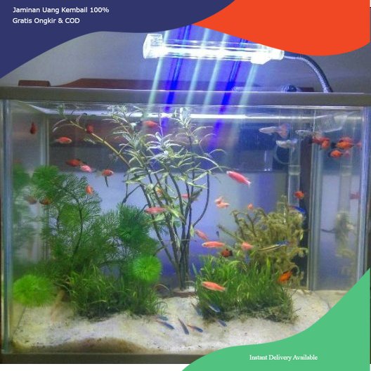 lampu jepit aquarium, lampu jepit aquascape, lampu LED jepit, lampu led yamano jepit, lampu led jepi