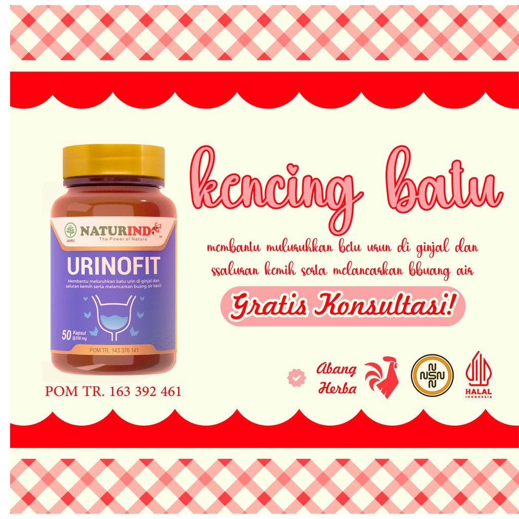 

Urinofit (Herbal Alami Special untuk Ginjal)