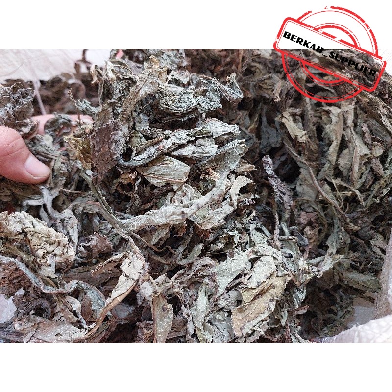 

Daun Tempuyung Kering 100gr / 500gr