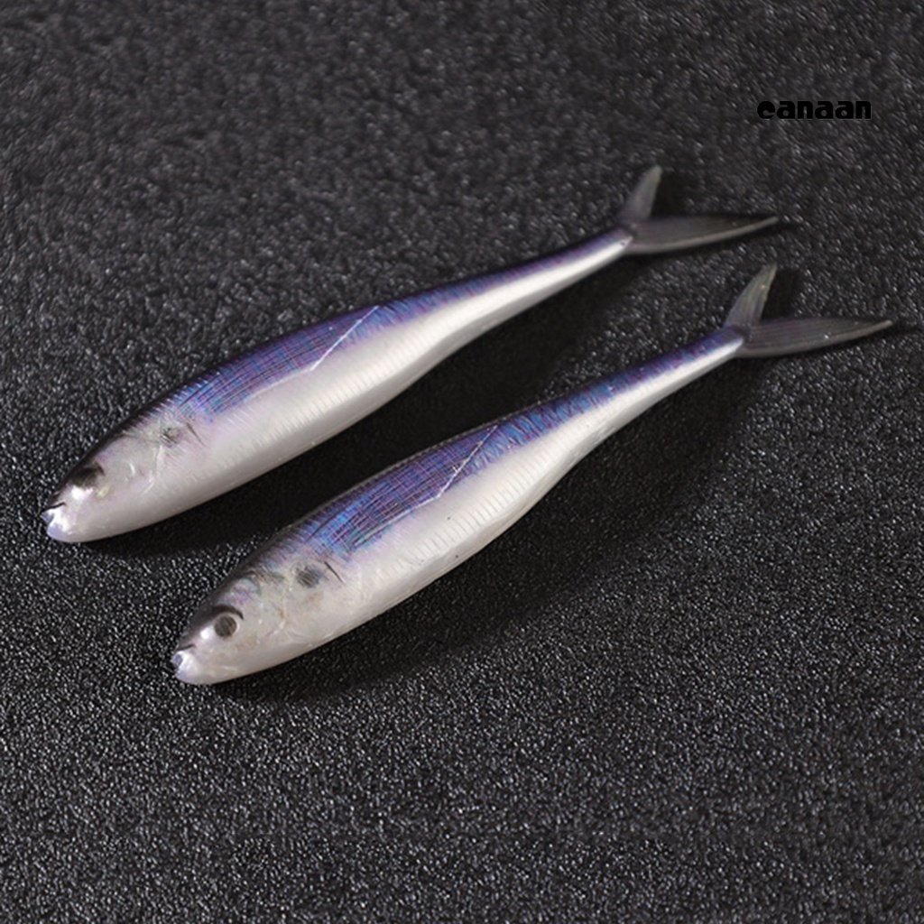 Cnn-1 Set 12.5cm/11g Umpan Bionik 3D Simulasi Fisheye Realistis Menggoda Angling Plastik 3D Shearwater Umpan Tuna Lembut Memancing Luar Ruangan