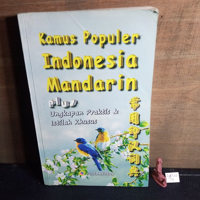 kamus populer Indonesia Mandarin ungkapan praktis istilah khusus 295 H