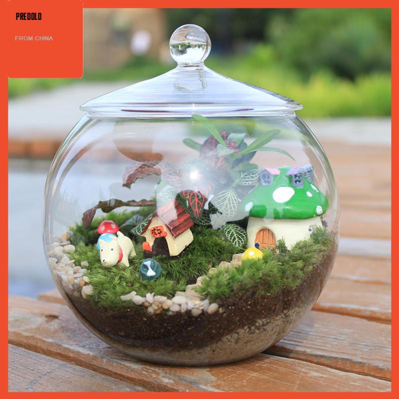 [Predolo] Planter Jar Sealed Storage Jar Terrarium Kaca Hias Untuk Gula Teh