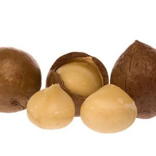 

NEW/ Macadamia Nuts in shell ( kacang macadamia kulit ) matang grosir murah