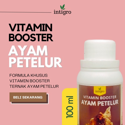 ( Bos_Organik ) Suplemen Khusus Obat dan Vitamin Ayam Petelur / Obat Penyubur Ayam Petelur / Supleme