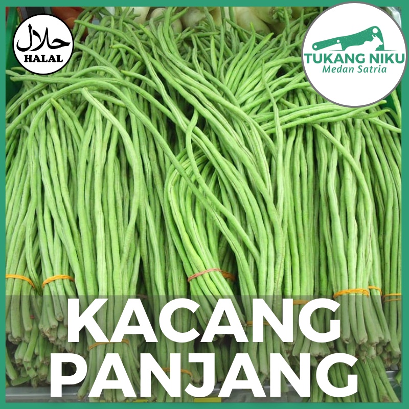 

KACANG PANJANG - SAYUR FRESH SEGAR KG GRAM GR BEKASI LALAP