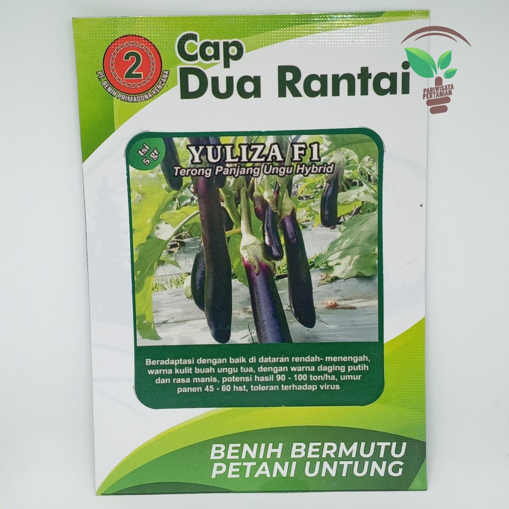 benih terong Yuliza F1 benih terong BENIH TERONG HIJAU KUAT - 1100 SEED cap dua rantai