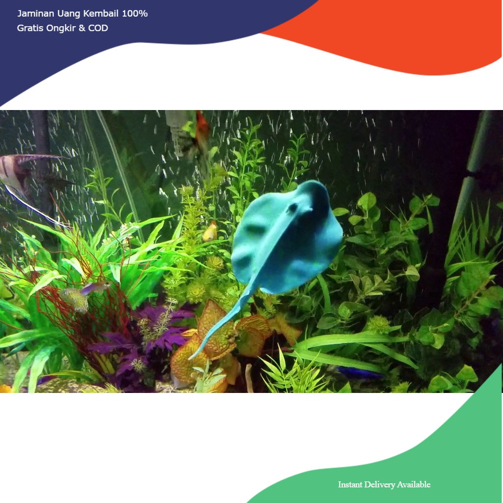 hiasan aquarium ikan pari, hiasan aquarium manta ray, dekorasi aquarium ikan pari, ornamen aquarium 