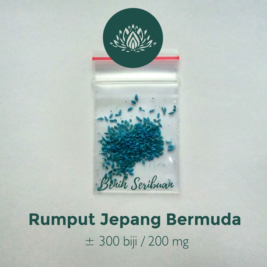 300 Benih Bibit Rumput Jepang Bermuda Grass Seed Standar Golf Import F1 Scotts Turf Builder Bibit Tanaman Hias Bunga Unggul Berkualitas Super