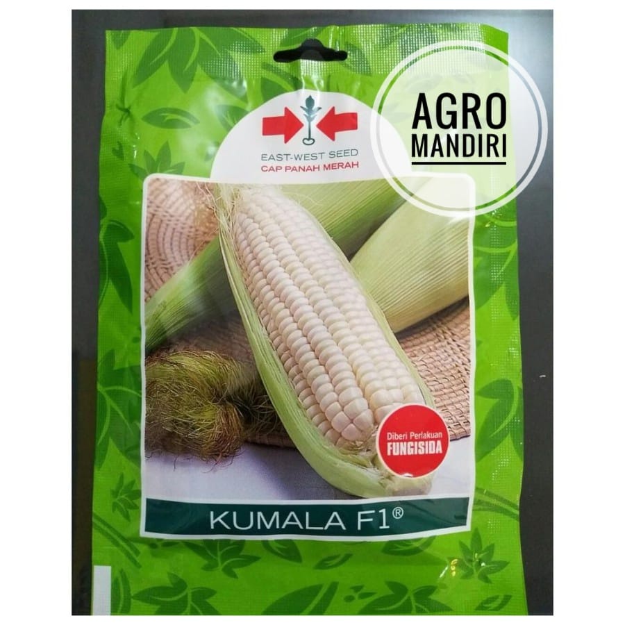 Benih Bibit Jagung Manis Pulut Ketan Kumala F1 isi 200 Butir SP