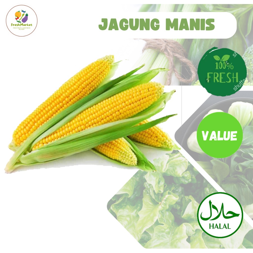 

Jagung Manis Sayur Segar 1 Buah Freshmarketlampung