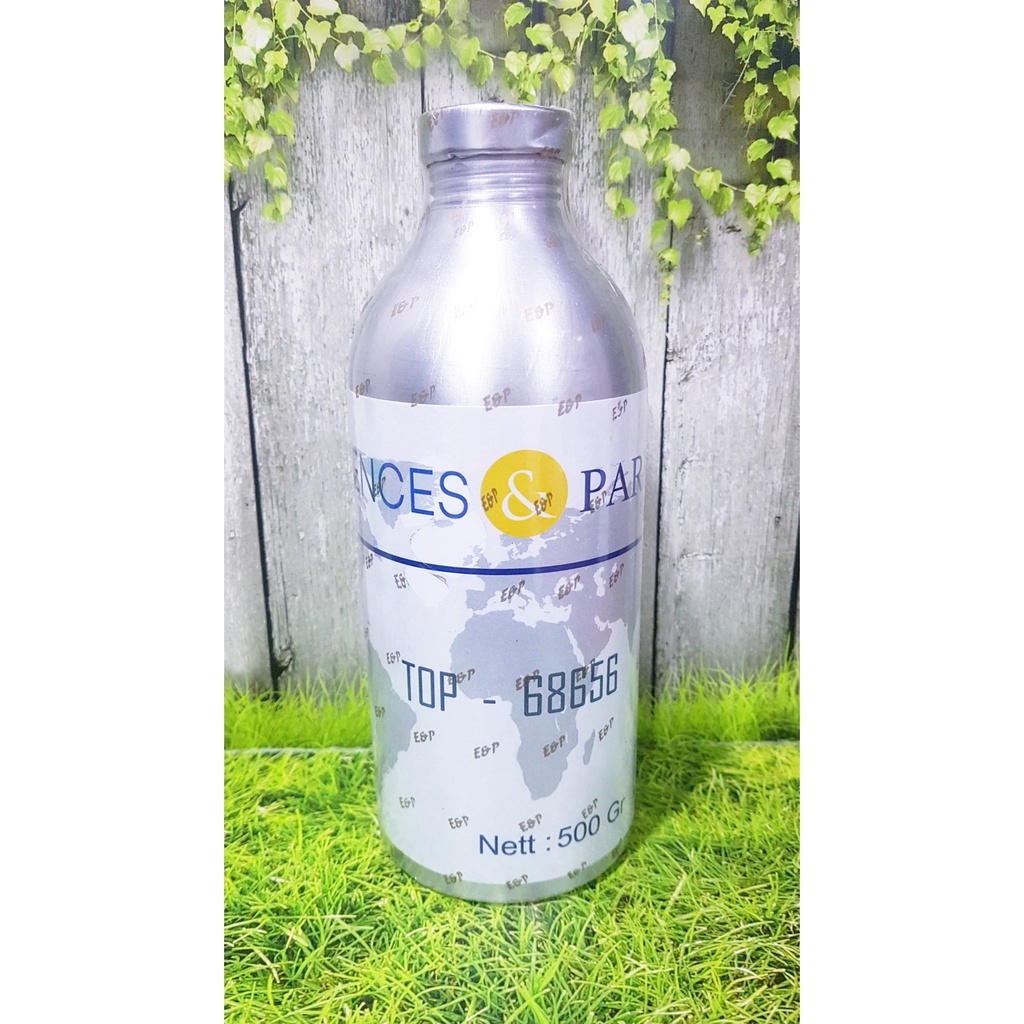 TOP B inspired TERRE D'HERMES by Essences kemasan segel 500ml