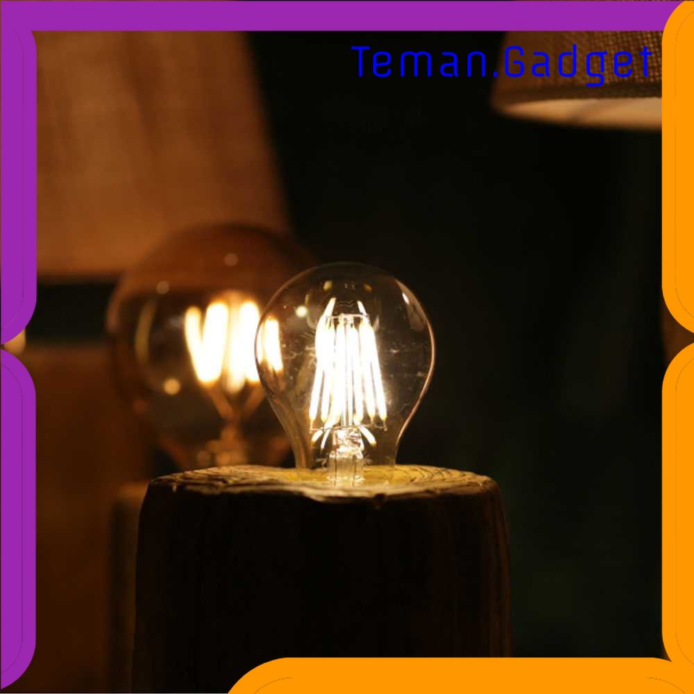 TG - LMP YNL Lampu Pijar Filamen Bohlam Edison 4W E27 Warm White - G45