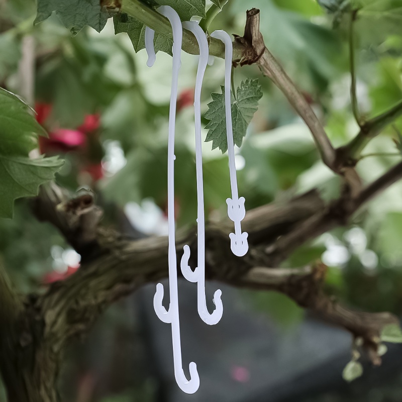 J-shaped Plant Fixed Fruit Hook Green Plant Wall Climbing Invisible Fixer Multifungsi Rumah Organizer Taman Sayuran Vine Support Pengikat Klip