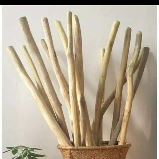 ranting kayu jati murah - ranting jati - ranting kayu macrame 50 cm