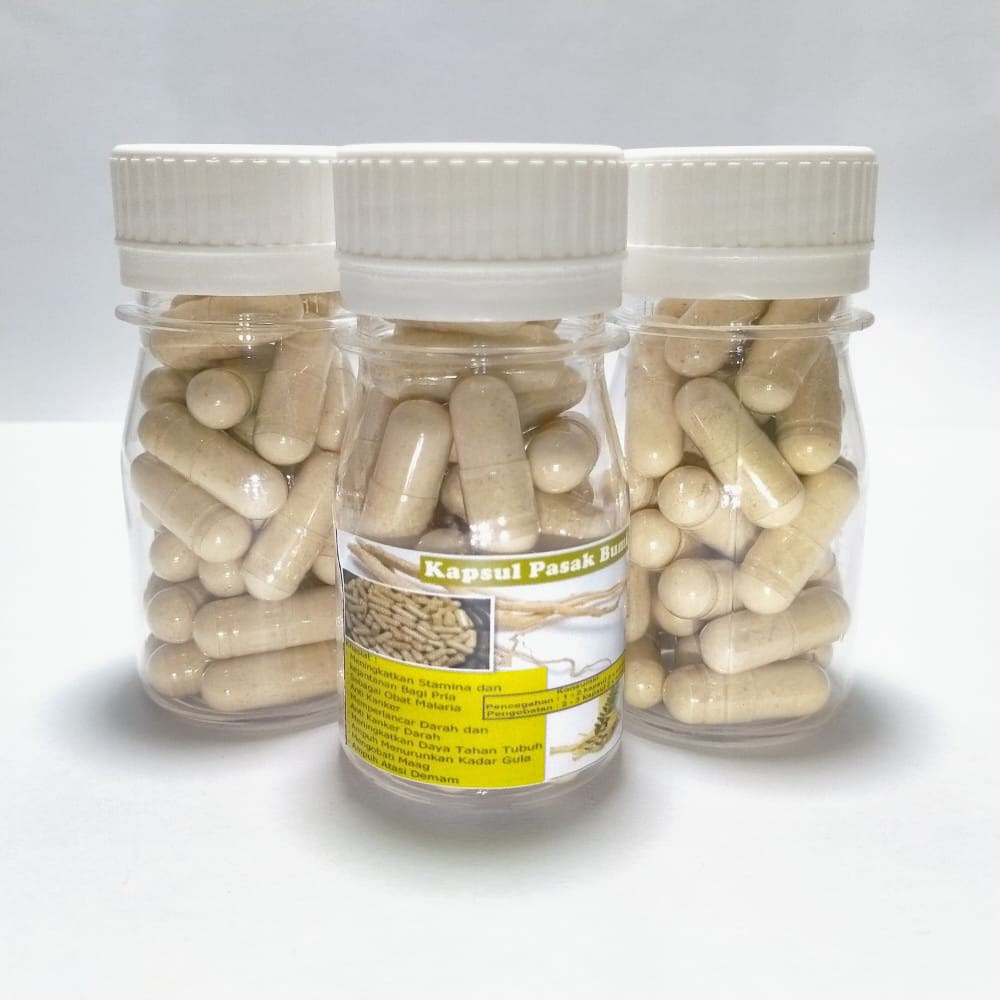 30 Kapsul Pasak Bumi Obat Jamu Herbal Kuat Pria Tongkat Ali