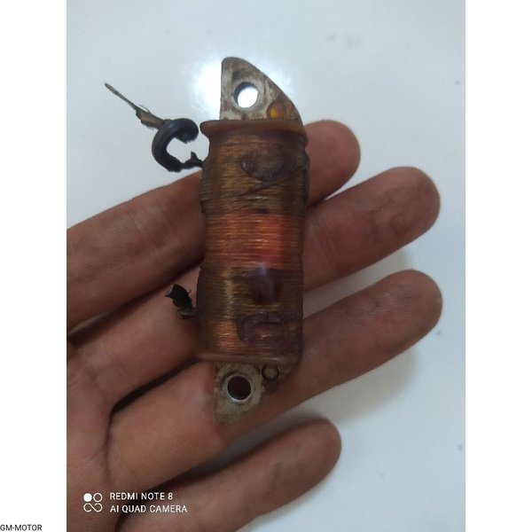 spul spol CDI api F15J original RX king RX s Alva v80 robot exelent sigma