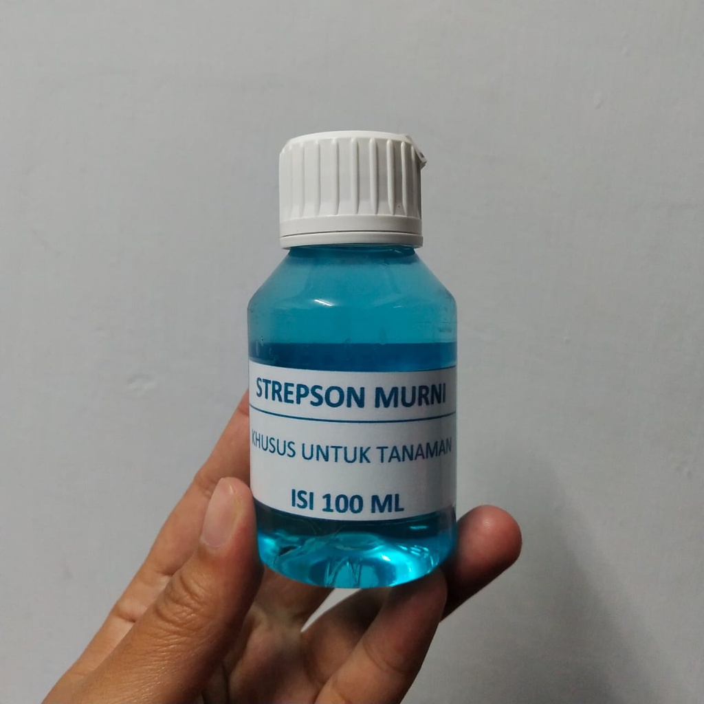 Hormon Strepson 100ml Obat Varigata Variegata Permanen Tanaman Hias