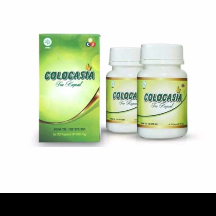 Colocasia obat anti sendi  100
