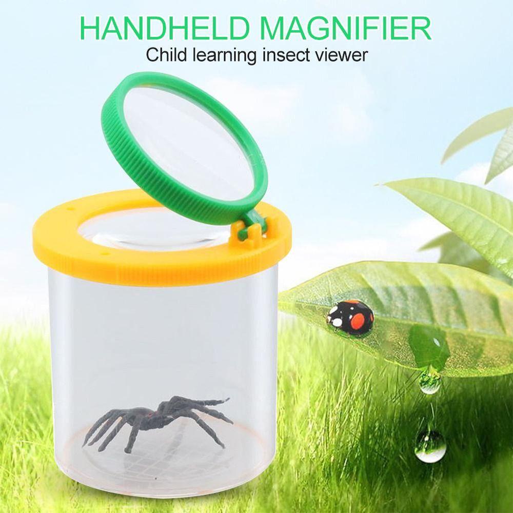 Wonder Insect Box Portable Backyard Explorer Observer Serangga Genggam