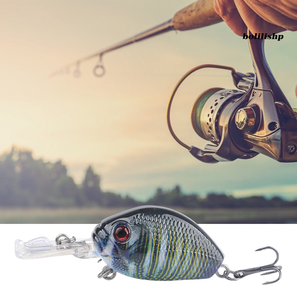 Bo-6cm/6.5g Umpan Pancing 3D Simulasi Fisheye Tajam Kait Warna Kaya Compact Bright Color Fishing Instalasi Mudah Treble Hook Memancing Umpan Untuk Memancing Luar Ruangan