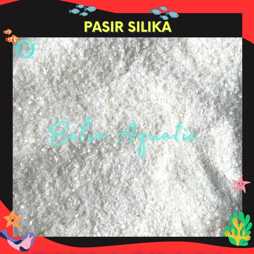 PASIR SILIKA Putih Pasir Putih Halus Aquarium Aquascape 500 Gram