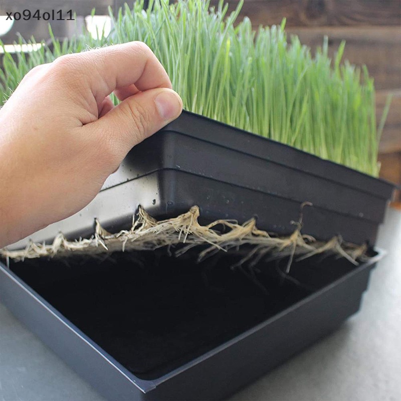 Xo Nampan Tanam Plastik Seedling Starter s Pembibitan Pembibitan Tanaman OL