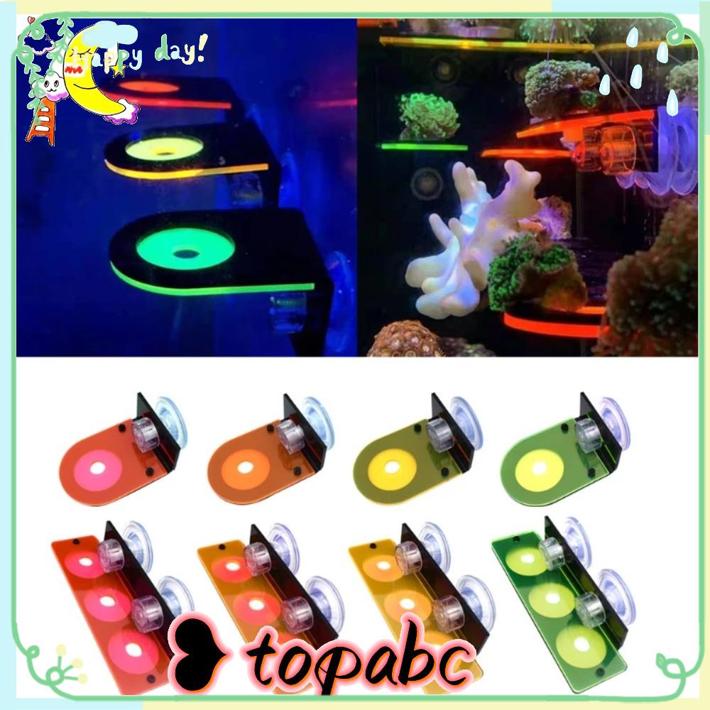 TOP Bracket Frag Karang Aksesoris Aquarium Tangki Ikan Dengan Suction Cup Tempat Karang Tanam Karang