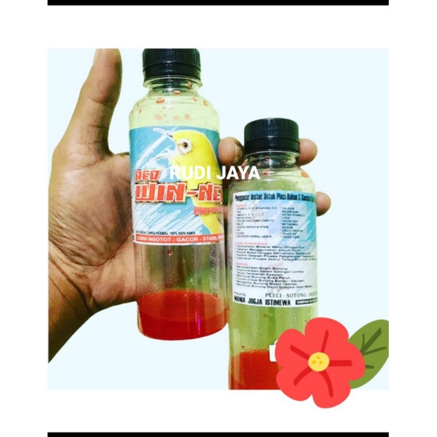 READY TERMURAH GRATIS GANTUNGAN, RED WIN-NER REDWINER RED WINNER WIN NER RED WINER ENERGY VITAMIN DO