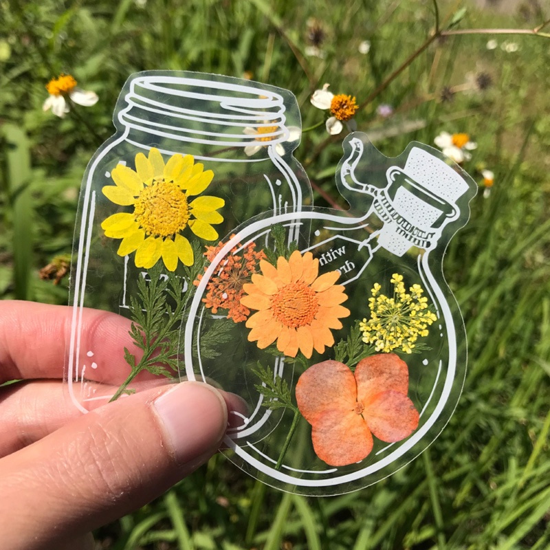 [Grosir] Diy Nota Timbul Dekorasi Sticker/Botol Timbul Transparan Film Plastiksimple/Tas Penyimpanan Spesimen Tanamanhomemade/Creative Transparent PET Dry Flower Bookmark