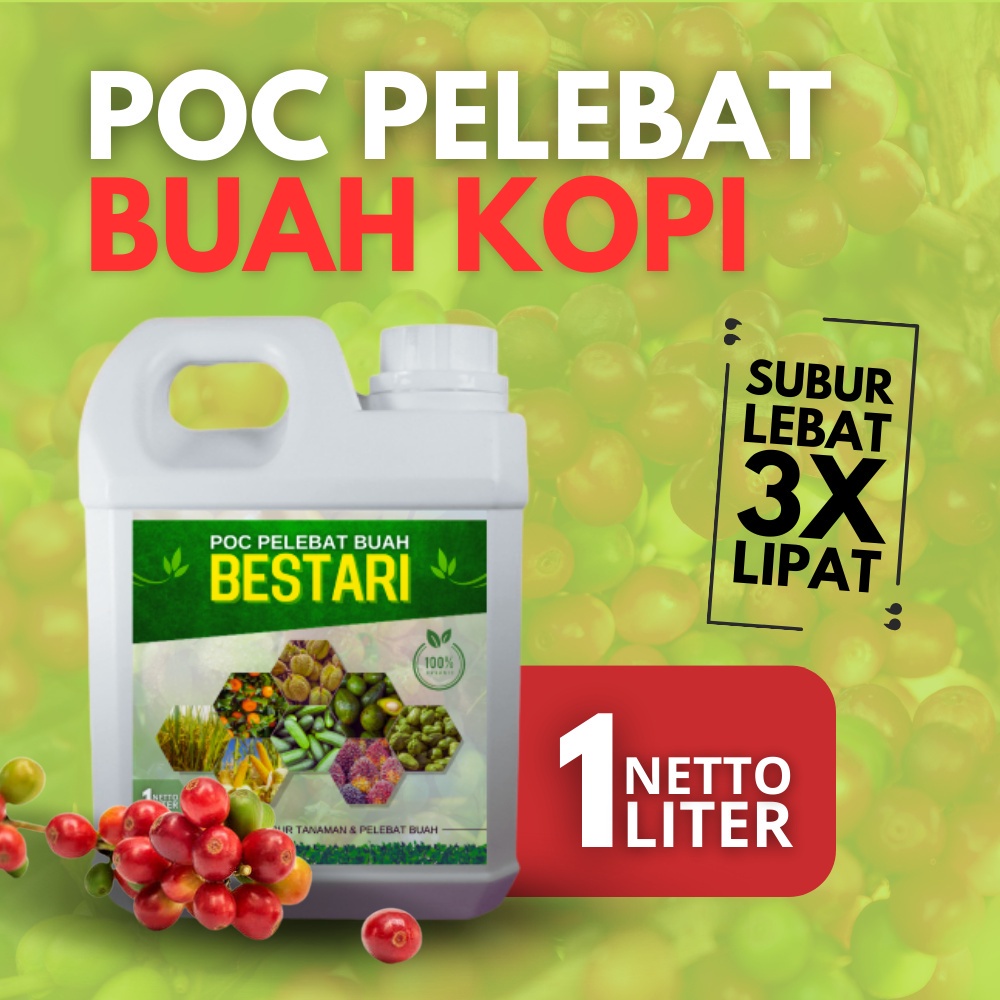 FMD48 - Pupuk Pelebat Buah Kopi / Pupuk Kopi Agar Berbuah Lebat / Pupuk Penyubur Daun dan Buah Kopi 