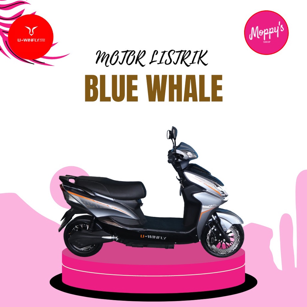 MOTOR LISTRIK BW BLUE WHALE BLUEWHALE BLUWHALE UWINFLY