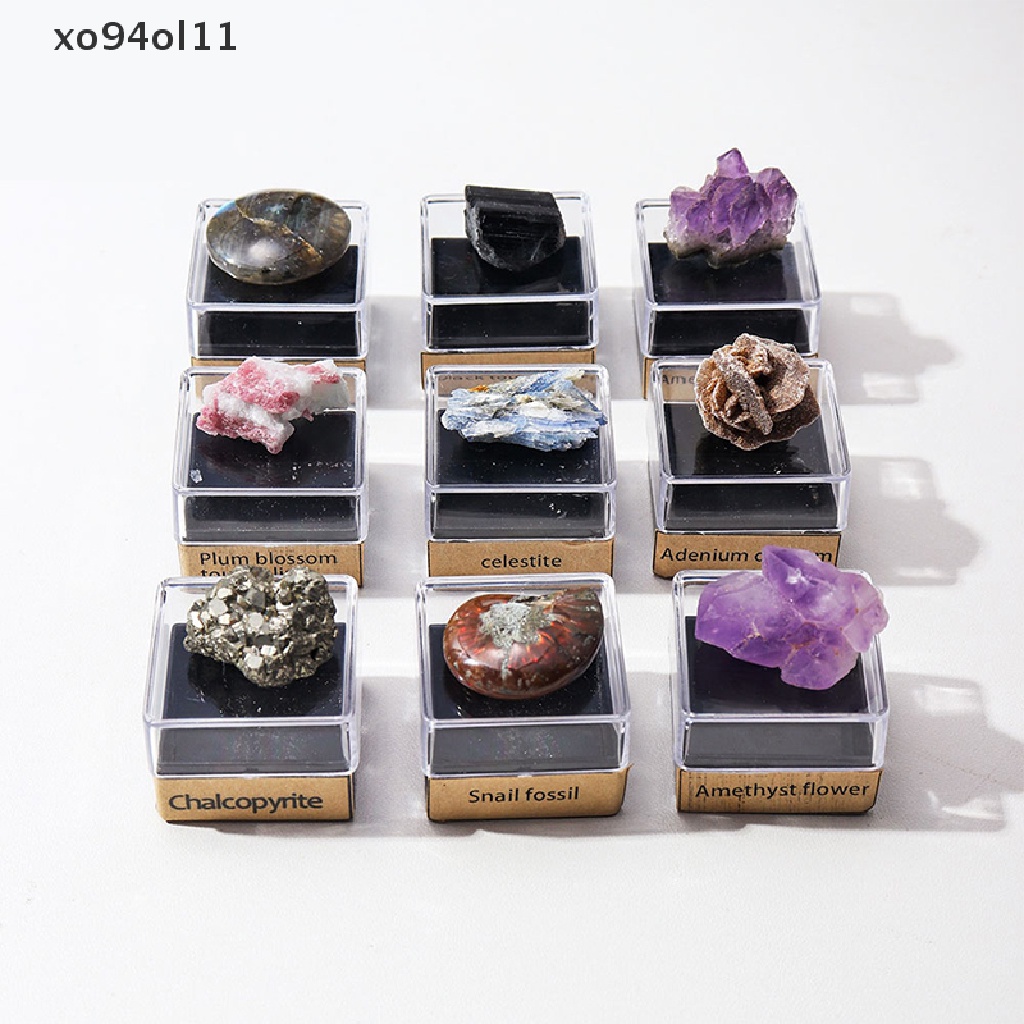 Xo Bijih Batu Kristal Alami Amethyst Cluster Energy Box Koleksi Spesimen Fosil OL