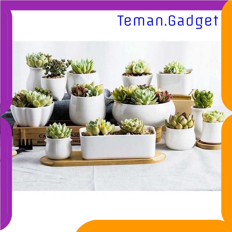 TG - DPR FINDOHOPE Tatakan Pot Kayu Alas Bunga Bamboo Tray Succulent Cactus - OE0094