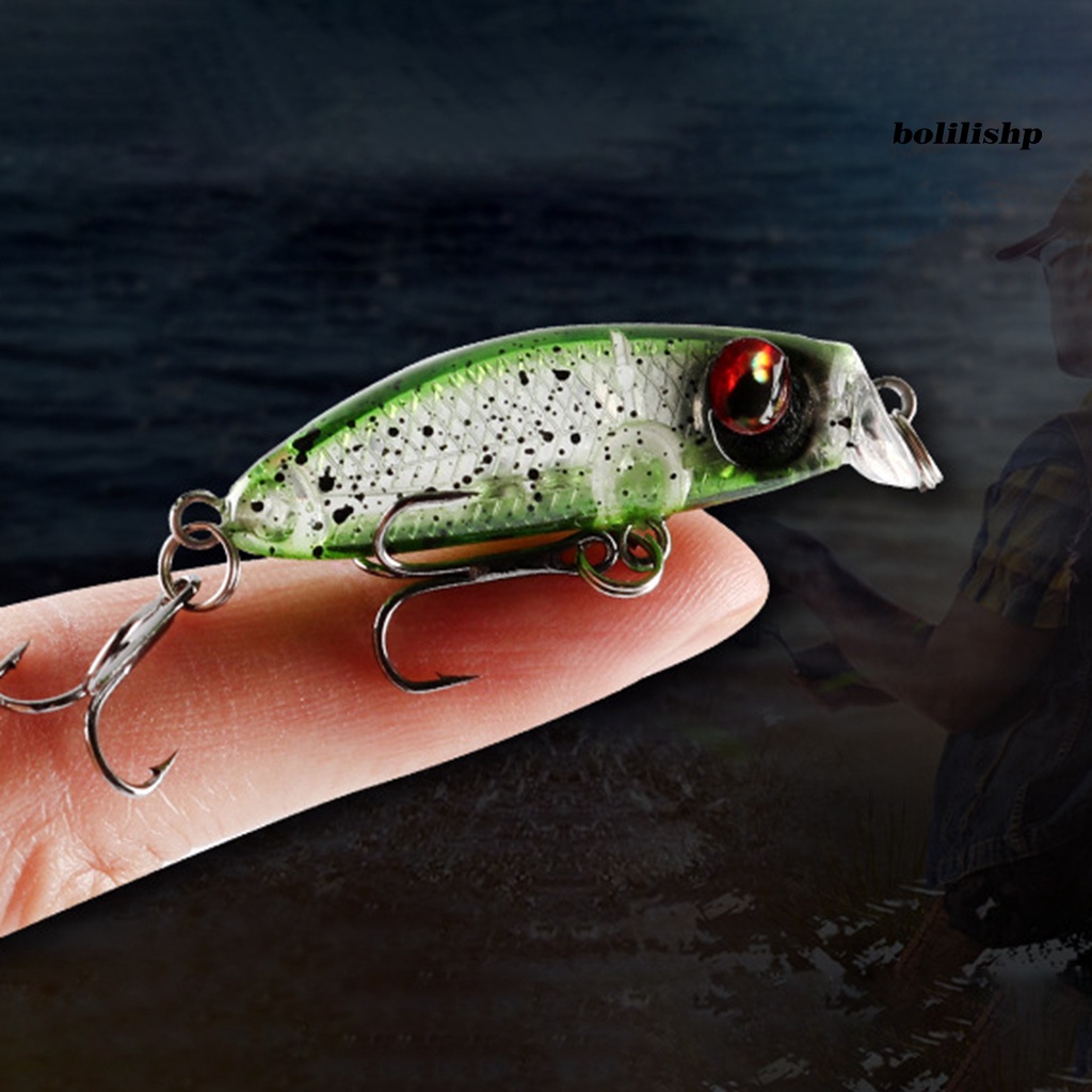 Bo-3.1g/3.5cm Umpan Pancing Built-in Sequin Simulasi Angling One-piece Modelling Bionic Micro Artificial Lure Memancing Aksesoris