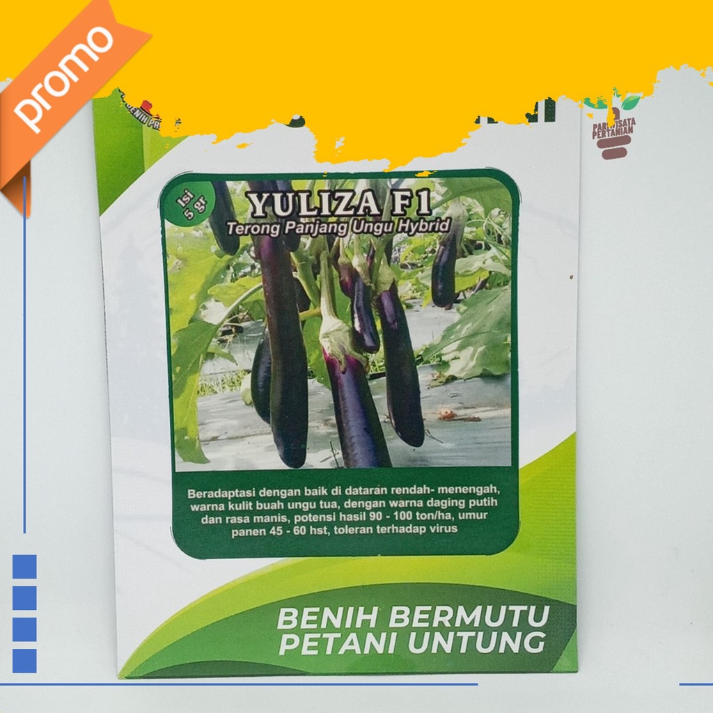 benih terong Yuliza F1 benih terong A_27 Benih TERONG HIJAU LURIK lonjong SERGE cap dua rantai