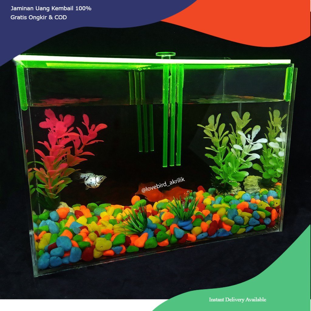 Aquarium Akrilik, Aquarium Acrylic, Aquarium Ikan Cupang, Mini Aquarium, Aquarium mini, Aquarium