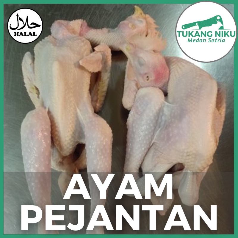 

AYAM PEJANTAN - HALAL DAGING SEGAR FROZEN FRESH BEKU POTONG UTUH CHICKEN JANTAN EKOR BEKASI BERSIH KG GR GRAM