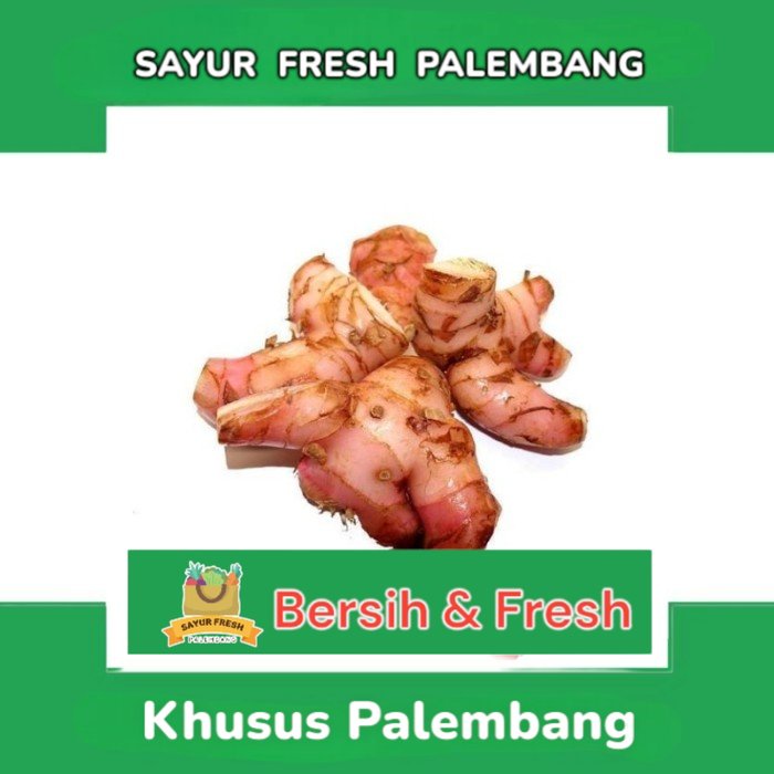 

Lengkuas / Laos - Sayur Fresh Pasar Perum