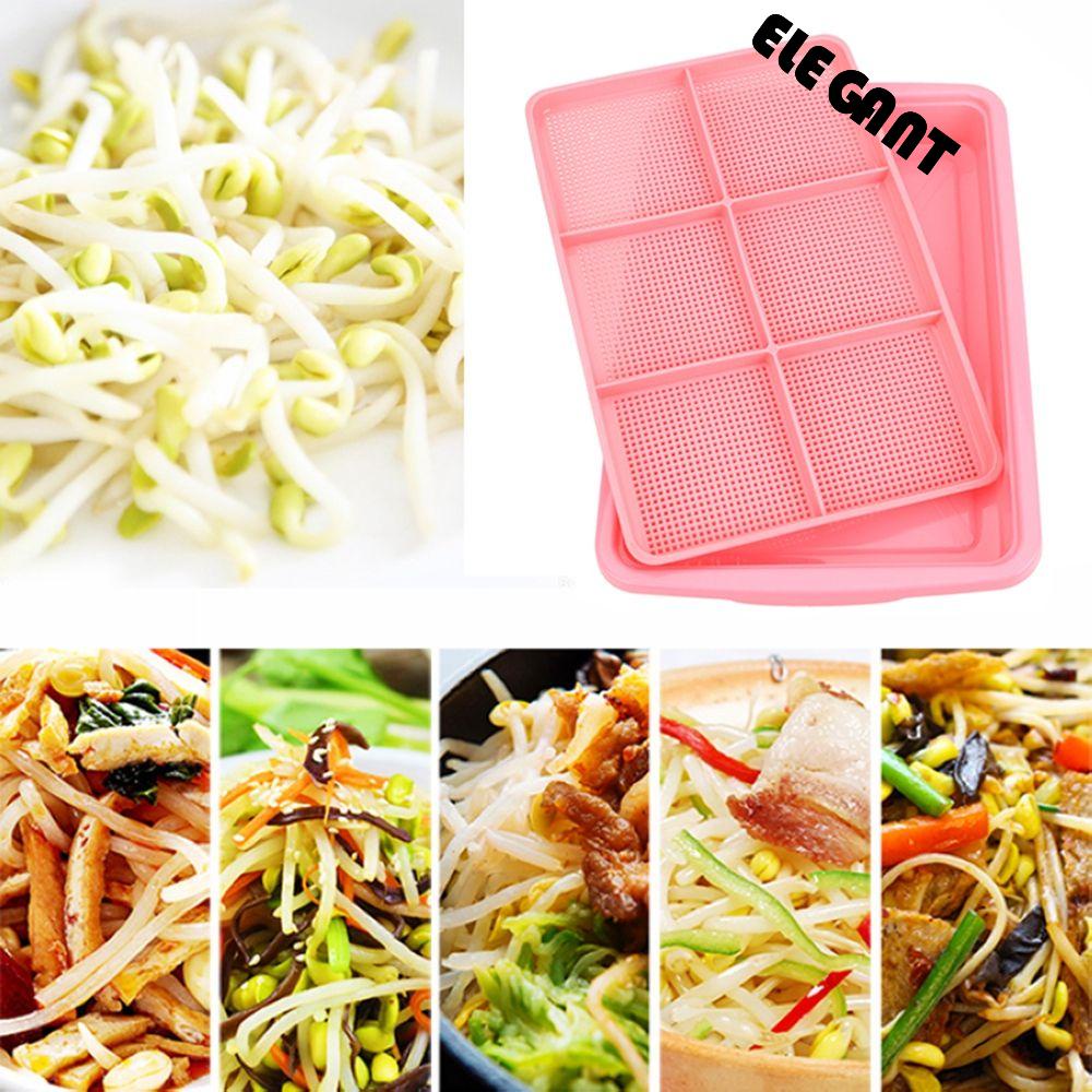 【 ELEGANT 】 Tray Semai Double Layer Tauge Pot Pembibitan Rumah