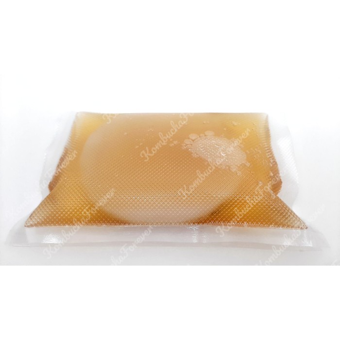 

Bibit Scoby Jamur Kombucha Premium Organik