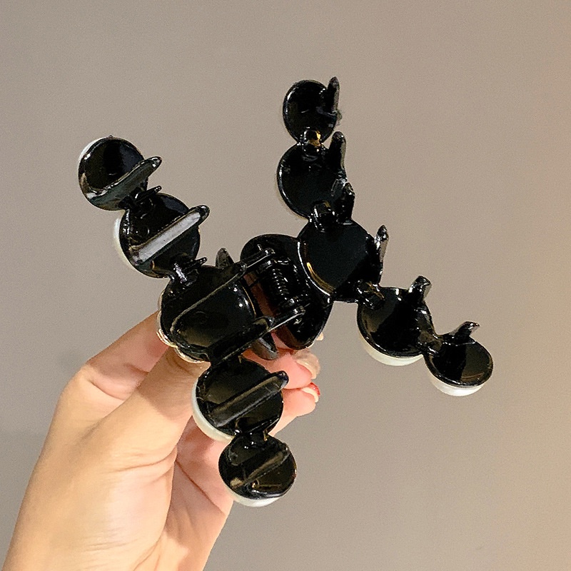 Camellia Gunung Angin Elegan Ambil Gadis Dengan Map Hiu Tuan Rumah Barlier Besar