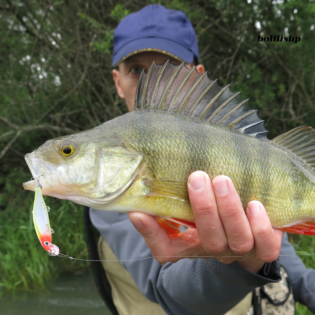 Bo-11cm/13g Umpan Ikan Kecil Tajam Kait 3D Simulasi Fisheye Simulasi Melempar Jarak Jauh Bertengger Angling Umpan Alat Pancing