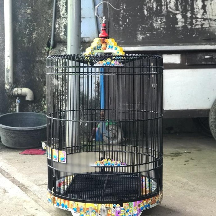 sangkar burung murai, sangkar burung murai ukir murah, sangkar murai