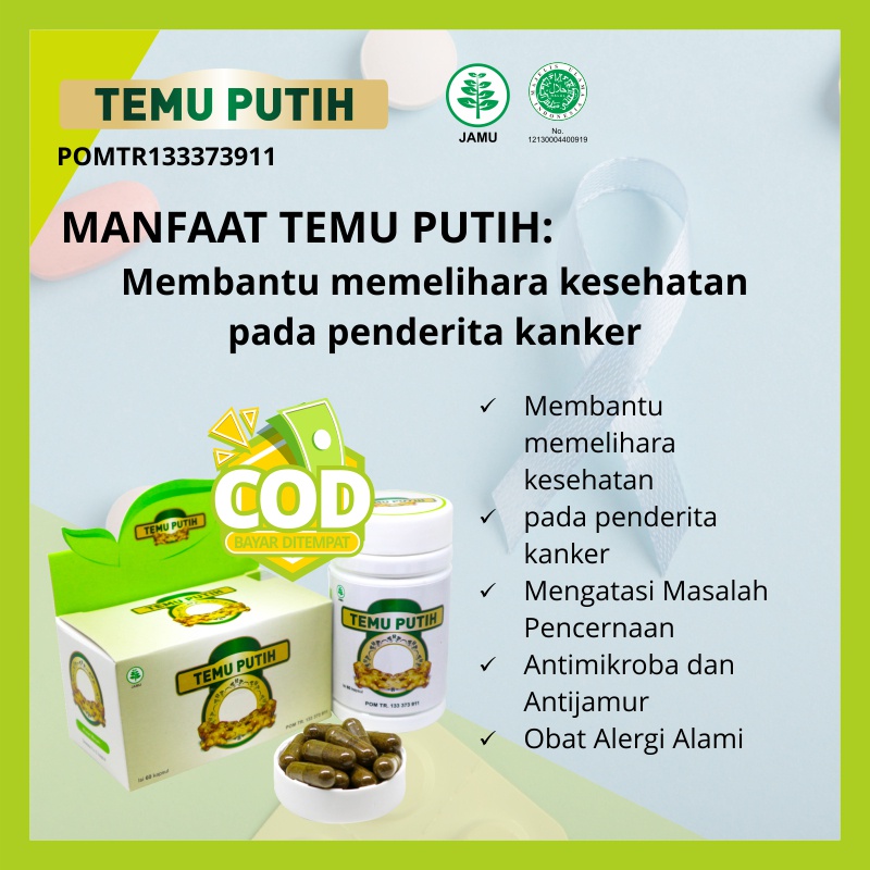 Obat  Pembunuh Sel Kanker ektrak Temu Putih 60 Kapsul - TEMU PUTIH